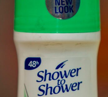 Shower to Shower Stay Dry Freshness Body Powder