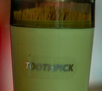 TOOTHPICK HOLDER WITH PICKS