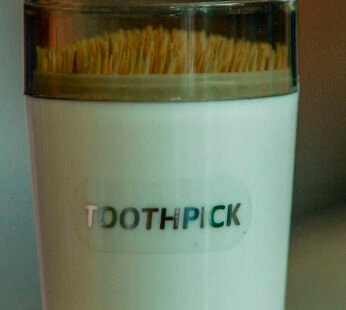 TOOTHPICK HOLDER WITH COVER