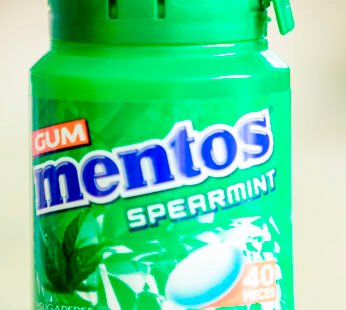 MENTOS SPEARMINT