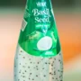 VINUT BASIL SEED COCONUT WATER