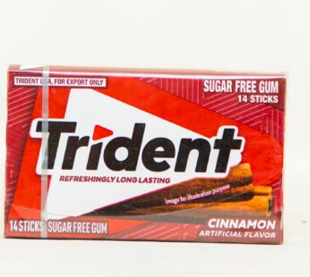 TRIDENT CINNAMON (Copy)
